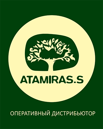 Логотип компании